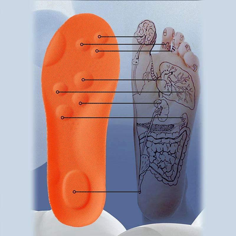 סקיילבס – מארז אורטופדי