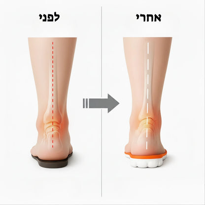 סקיילבס – מארז אורטופדי
