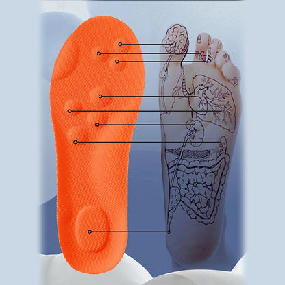 סקיילבס – מארז אורטופדי