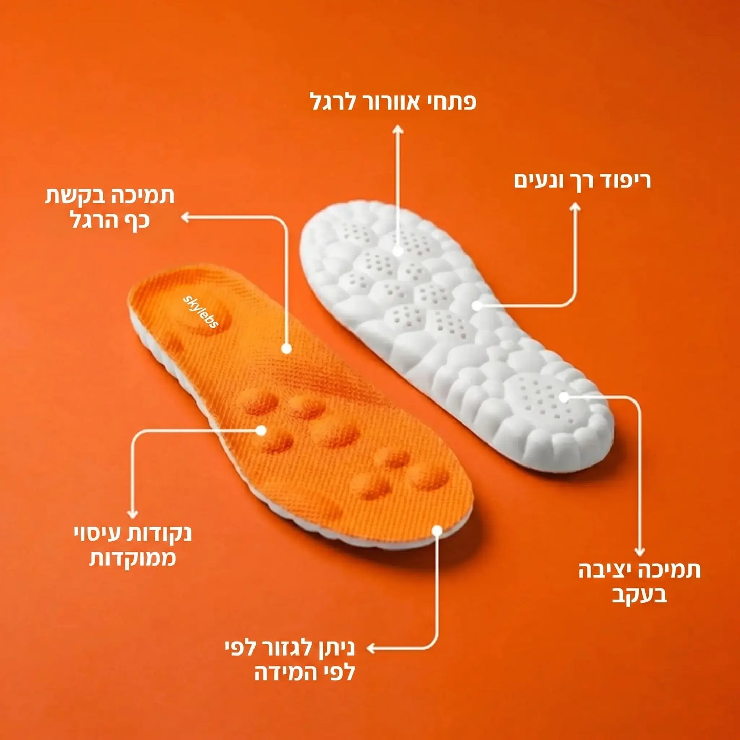 סקיילבס – מארז אורטופדי - skylebs